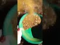 Saxankii Dahabka Looga Saarayey Carada Gaar Ahaa Webiyada Iyo Waadiyada Kasoo Dalbo 252615456270 Saxankii Dahabka Looga Saarayey Carada Gaar Ahaa Webiyada Iyo Waadiyada Kasoo Dalbo 252615456270