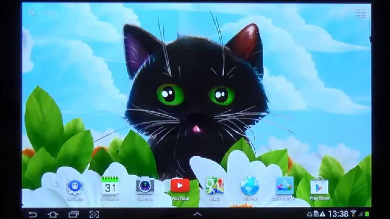  Cute  Kitten  Live  Wallpaper  for Android phones and tablets 