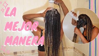 How to Wash Braids Correctly / Avoid Dandruff and Bad Odor in 1 Step