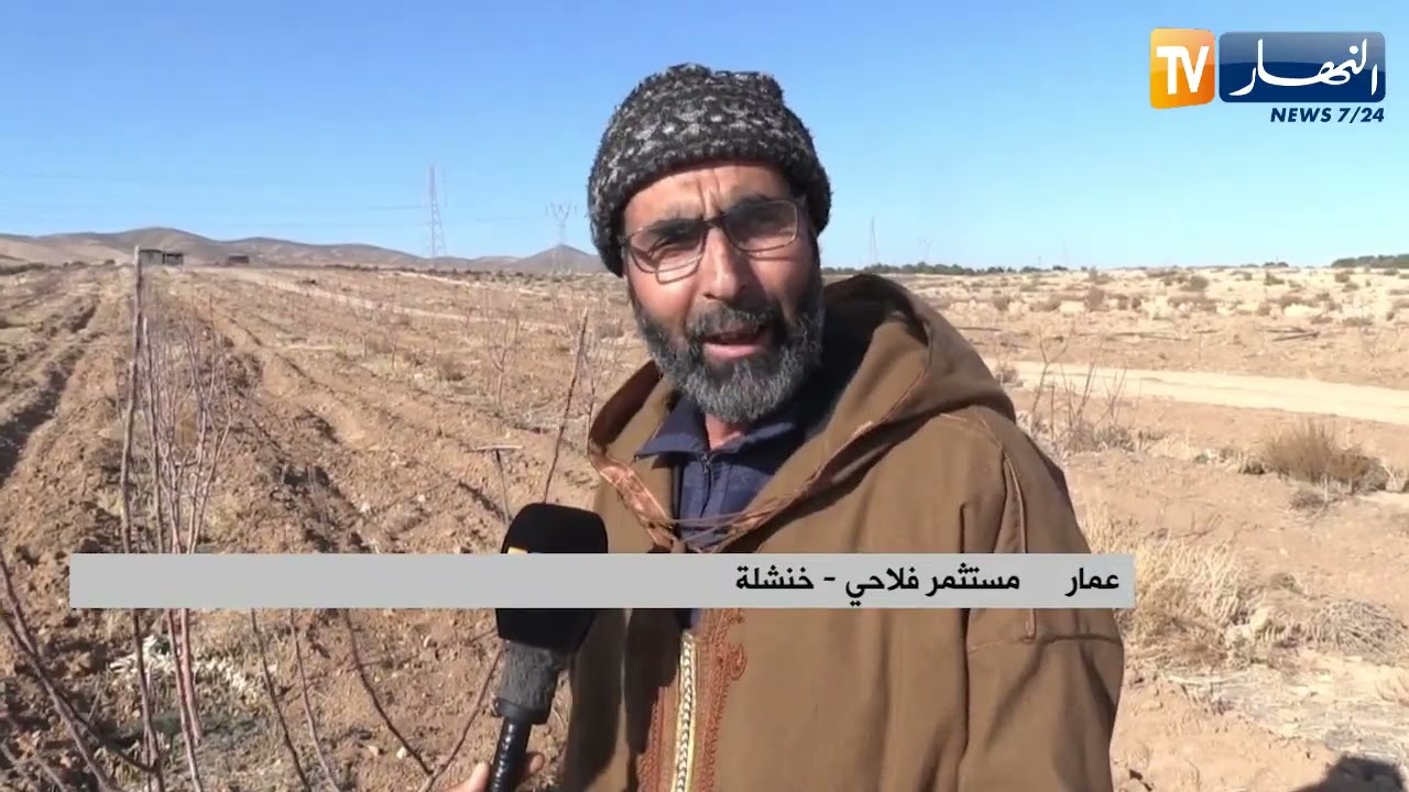 خنشلة : غياب الكهرباء بدوار وانغال ببلدية خيران يهدد الثروة الفلاحية