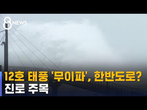 12호 태풍 무이파 주말쯤 진로 윤곽 나올 듯 SBS 