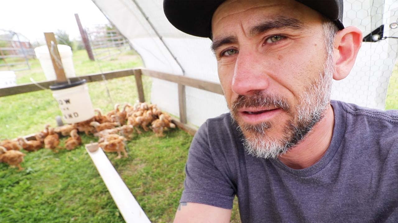 Everyday is a Big Day (Daily life on our family Homestead Farm) - YouTube