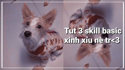 Tut 3 skill basic của Am xinh xỉu cho các bồ nè💋💕 || #28