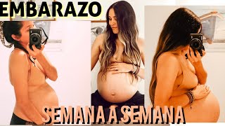 EMBARAZO SEMANA A SEMANA/ EVOLUCIÓN DE EMBARAZO/ Ve mi PANZA CRECER
