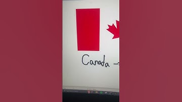 How to PROPERLY DECLARE on PANDABUY 🐼 #pandabuy