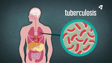 ¿Qué es un enemigo natural de las bacterias?