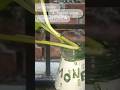 Day 9 of completing 100 subs in 20 days|let's make a flower vase for MONEY PLANT ☘️🌵