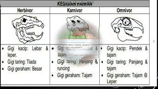 Gigi Haiwan T3 Youtube