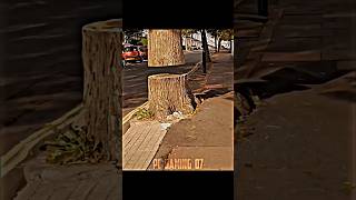 The Most Powerful Name of Allah ☠️☝️