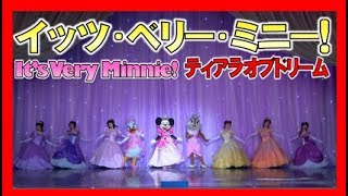 ºoº TDL イッツベリーミニー ミニーのティアラオブドリーム 東京ディズニーランド ベリーベリーミニー Tokyo Disneyland It's very Minnie!