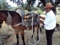 Cargar la leña a lazo en una mula, burro caballo. arrieros muleros.