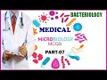 Bacteriology Selected MCQs | Biology MCQs For Medical Students | ETEA Related MCQs