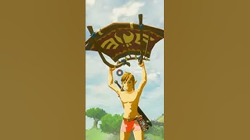 Link Is Unimpressed With The Paraglider - Breath Of The Wild #Shorts