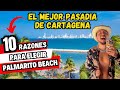 Palmarito beach 10 razones por las que debes hacer este pasadia en cartagena 