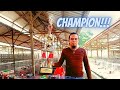 Championketemu 4y4m saya sendiri