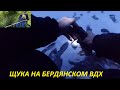 Бердянское водохранилище. Щука со льда