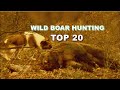 Süper Domuz Vuruşları / TOP 20 / Wıld Boar Huntıng TOP 20