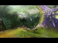 �������� Monster Hunter Portable 3rd - Qurupeco Intro. Monster Hunter