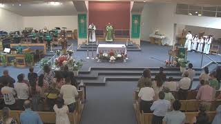 Santa Misa del XI Domingo Ordinario- Cycle A St. Paul Church-Sacramento  June 14, 2026