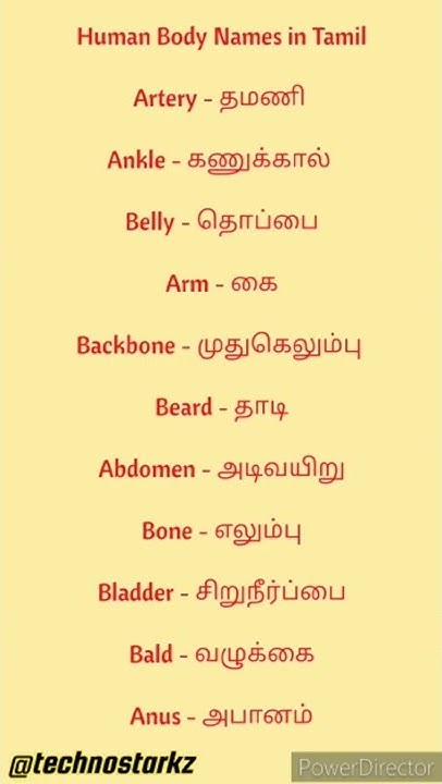 english-learning-human-body-names-in-tamil-youtube