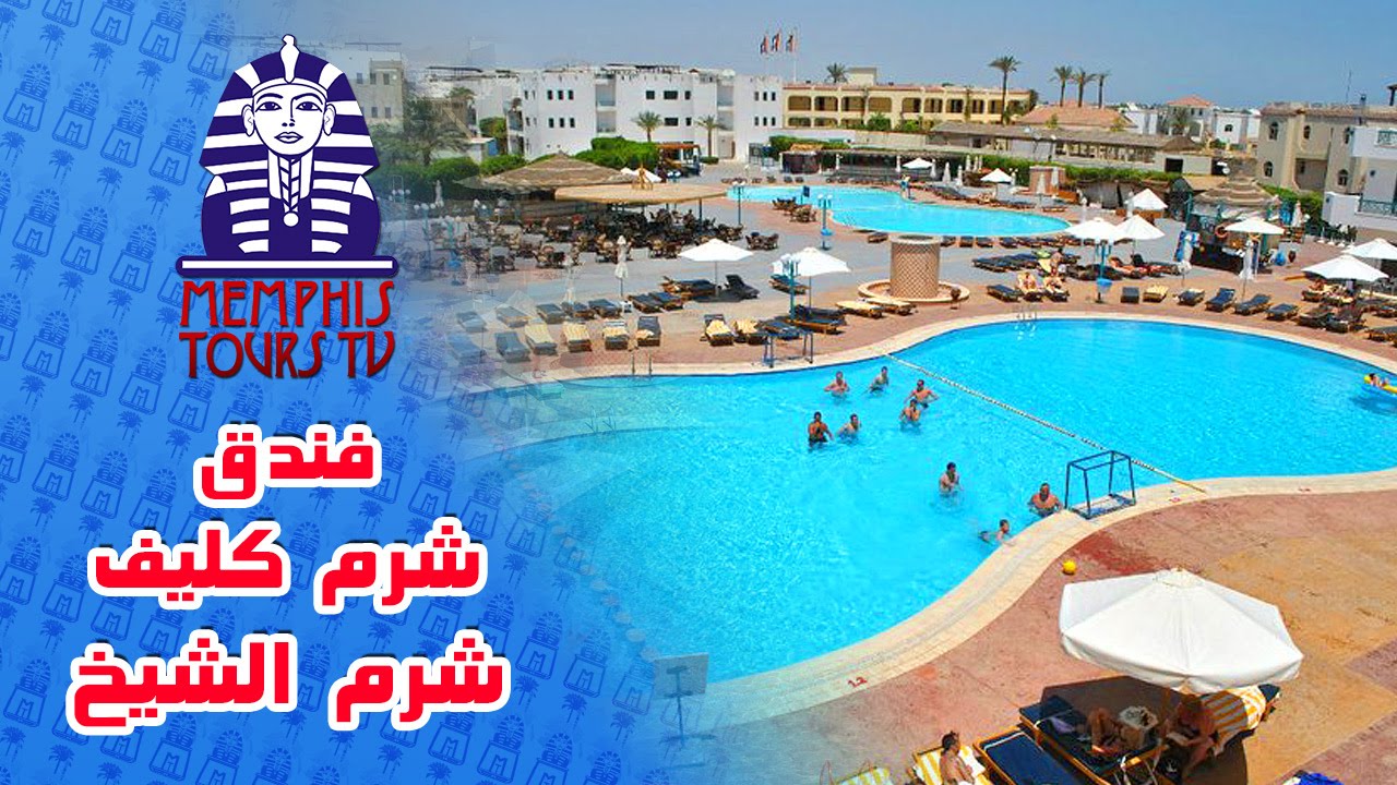 فندق شرم كليف ريزورت sharm cliff resort - youtube