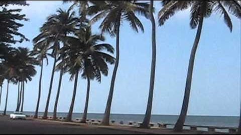 LMMS Project-Mozambique