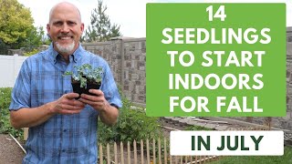 14 Seedlings You Should Start Indoors in June July to Plant in the Fall