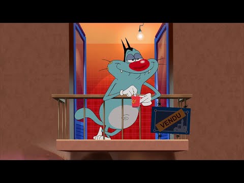 Oggy and the Cockroaches 😍🏢 OGGY IS IN HIS NEW FLAT 🏢😍 Full Episode in HD