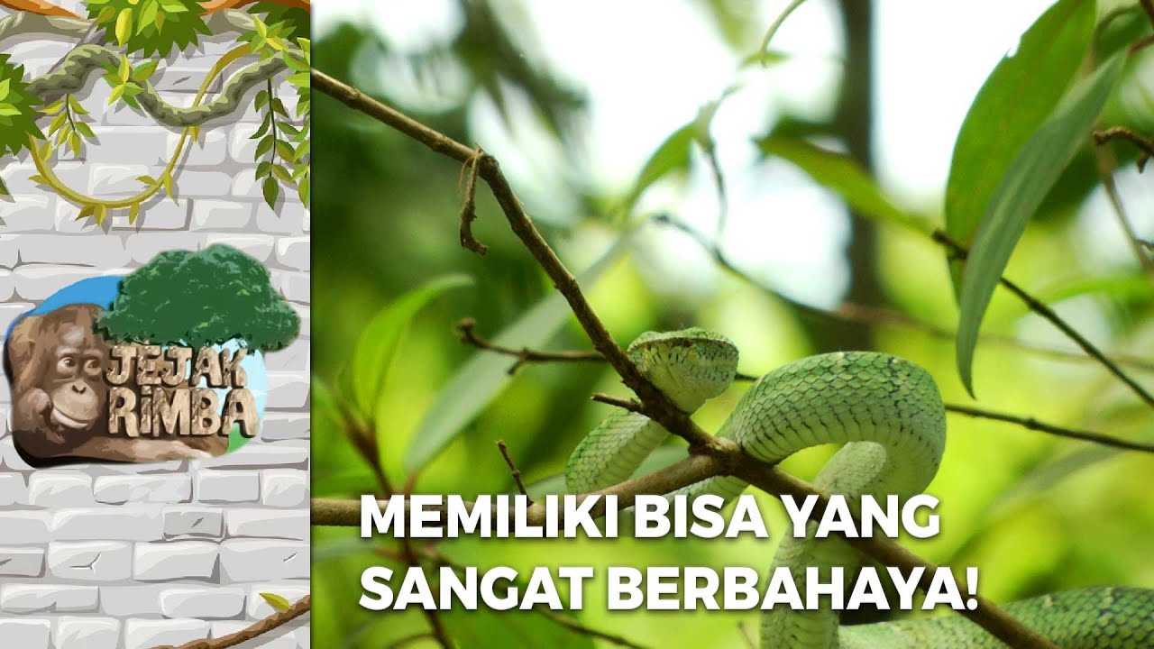 Uy qurilishi jinsiy aloqada bolgan rus juftliklarining fotosuratlari Stol ostida porno