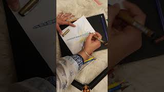 @ #colorpencil #rollerballpen