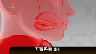 廣告CF 五寶丹蔘滴丸 1021009