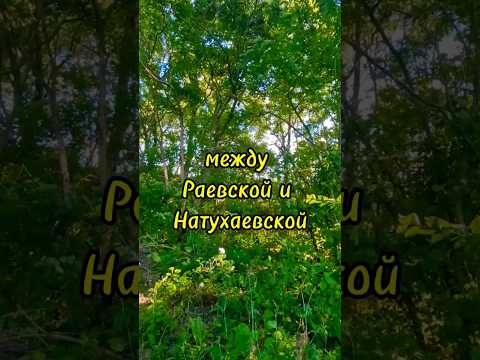 Это МЕСТО нужно