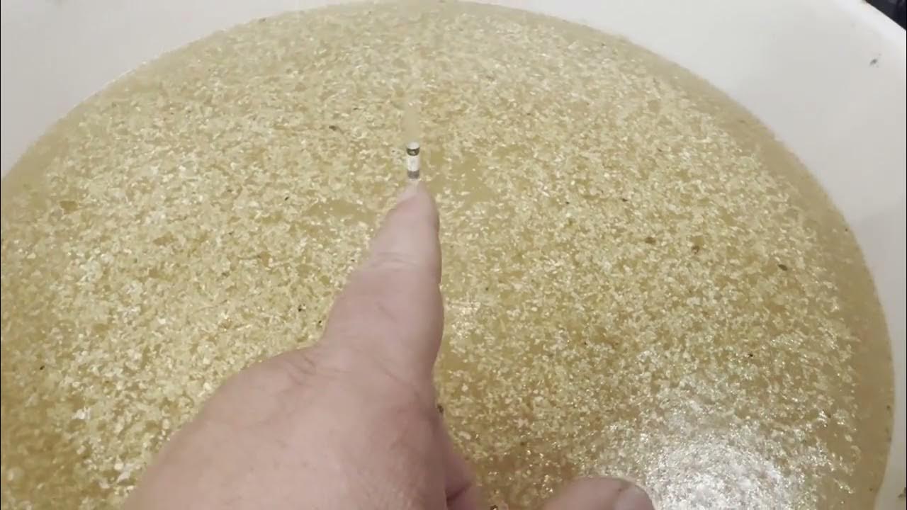 How to use a Brix Triple Scale Hydrometer Moonshine YouTube