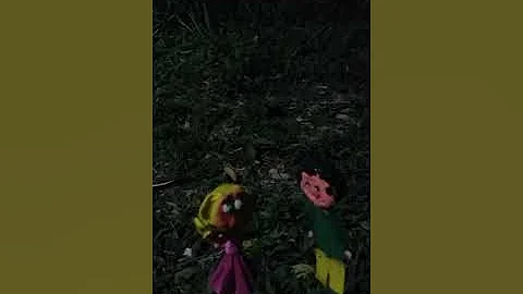 Lo mo  es lo pblico