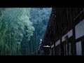 Asmr soothing rain sounds in a bamboo forest hanok