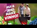 Rui & Joel Make Vinho!