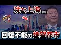 【経済崩壊】なぜ上海は突然衰退した？中国最大の商業都市から人が消えた衝撃の理由【ゆっくり解説】#中国 #上海 #経済