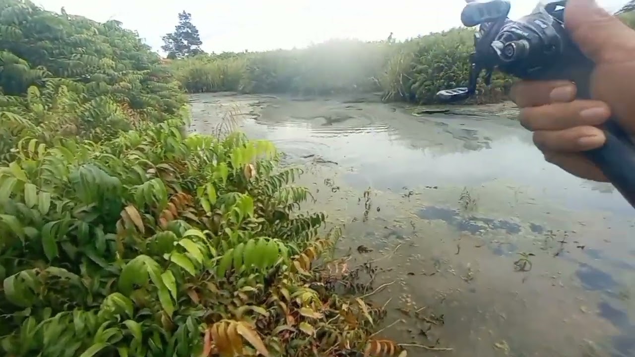 spot gak pernah boncos dsni ‼️ krandang goblin super cantik ❓