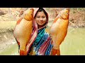 beautyful GOLD FISH cutting& cooking!নতুন আলু দিয়ে মাছের স্বাস্থ্যকর পাতলা ঝোল রেসিপি😳bengali recipe