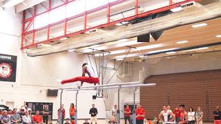 Akash Modi - Parallel Bars - 2018 World Team Selection Camp - Day 2