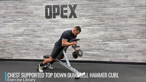 Chest Supported Top Down Dumbbell Hammer Curl