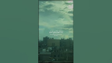 يوم تجد كل نفس #تلاوة_خاشعة #المصحف #السكينة_والهدوء #اكسبلور #لايك #حالات_واتس #راحة_نفسية