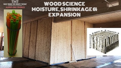 Wood Science: Shrinkage, Expansion and Moisture | Audio Only Shorts