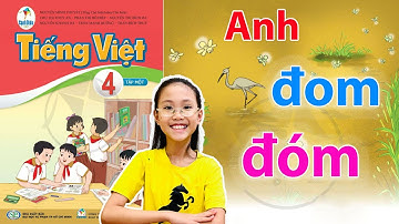 Tuần 7 - Bài đọc 4 "ANH ĐOM ĐÓM" trang 95 || Tiếng Việt Lớp 4 Tập 1 Sách Cánh Diều