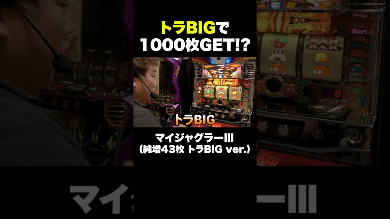 The Tiger BIG bonus, which can award 1000 coins, is insane! [My
