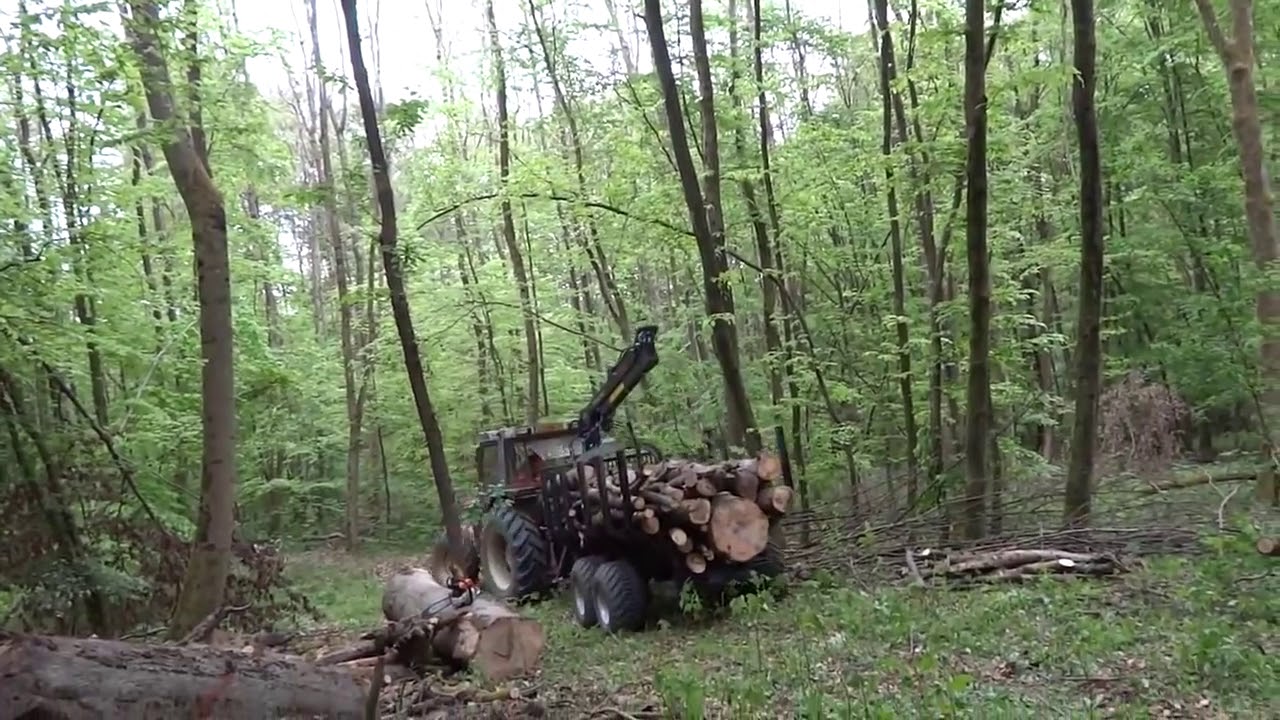 Primitive Technology vs Mega Machines Unusual Woodwork Chainsaw Log ...