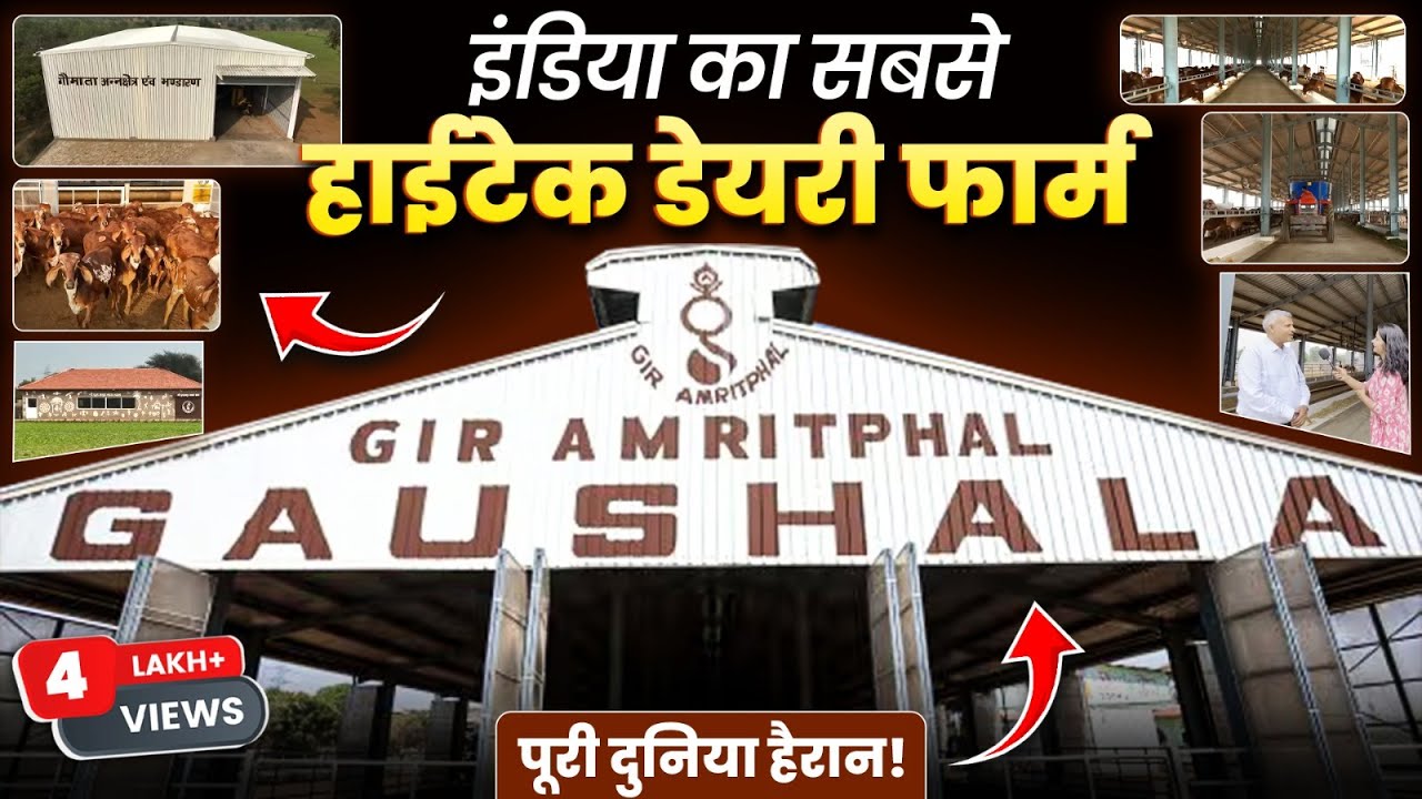 विदेशों से भी आगे! इंडिया का सबसे हाईटेक डेयरी फार्म