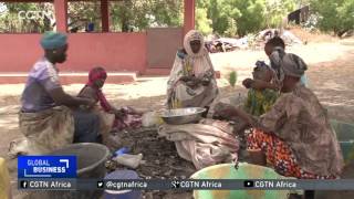 Gambian women take up oyster fishing, boost conservation