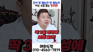 굿이 잘 됐는지 안 됐는지 아는 소름 돋는 징조들?! 용군TV 매화도령 #shorts #점집 #무당 #천안점집 #굿효과 #무속신앙 #굿후변화 #운명 #신내림 #영적인기운 #운세