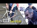 An inside look at Box Components, and Visiting Sea Otter